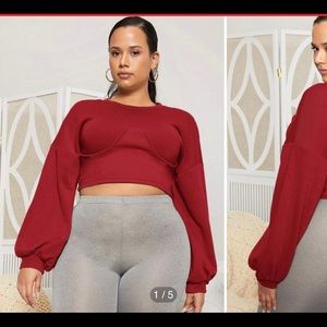 Plus size crop sweat top